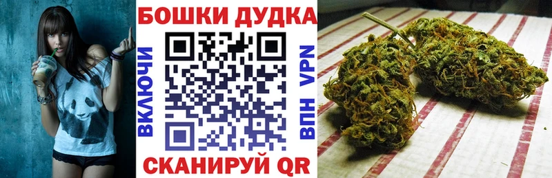 KRAKEN ТОР Козельск Конопля план